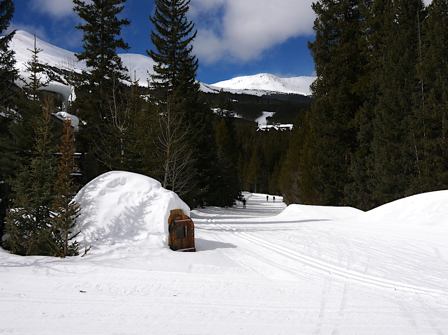 A cross country ski trail