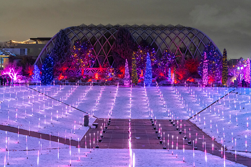 a lighted Christmas lawn