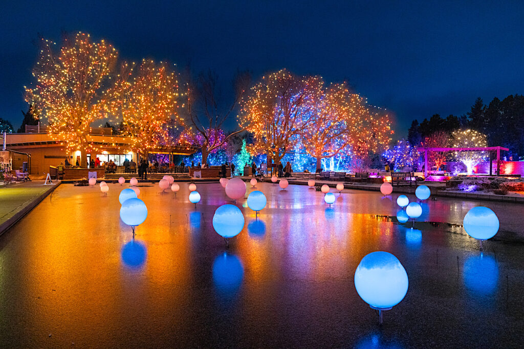 A lighted Christmas pool